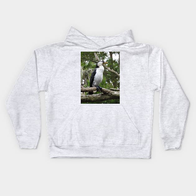 Little Pied Cormorant Kids Hoodie by kirstybush